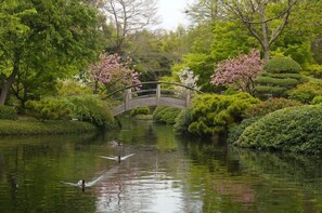 Fort Worth Botanic Garden