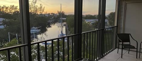 view from lanai overlooking canal.  manatees here most days.