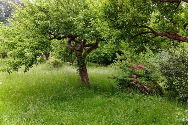 Boendeområde