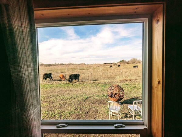 Hallway window view