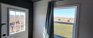 Bedroom back door and window view