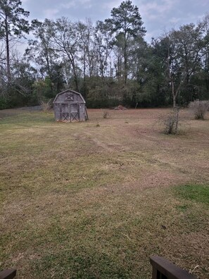 Deer come often to the edge of property 
in the early morning or late evening.