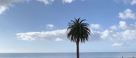 Spiaggia