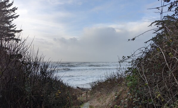 Path to the beach