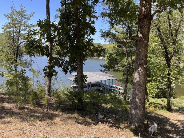 Lovely lake view