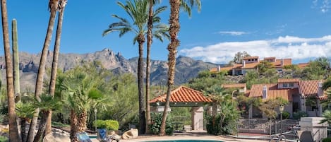 Pool and Spa w View of House (far left on hilltop)