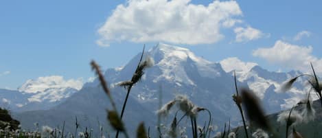 Ortler höchster Berg Südtirols 3905 Meter hoch