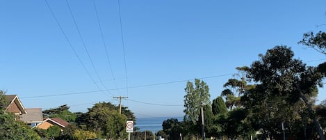 View From Front Yard