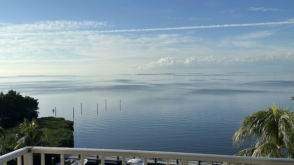 spectacular view