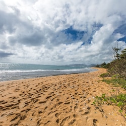 Walk to the Beach