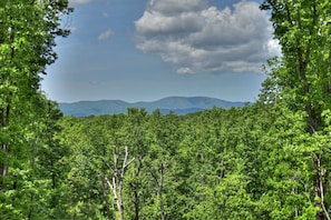 Beautiful mountain views from the cabin