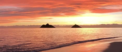 Easy walk to world famous Lanikai Beach. Amazing colors and views 24 hours a day