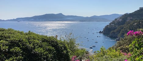 Vue de la terrasse de l'appartement 