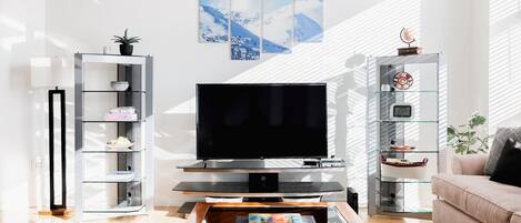 Living area with TV