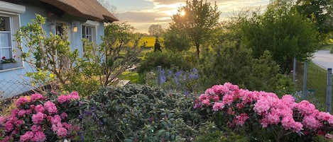 Jardines del alojamiento