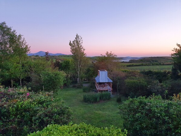 Patio View