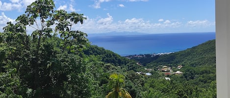 Vista desde la propiedad