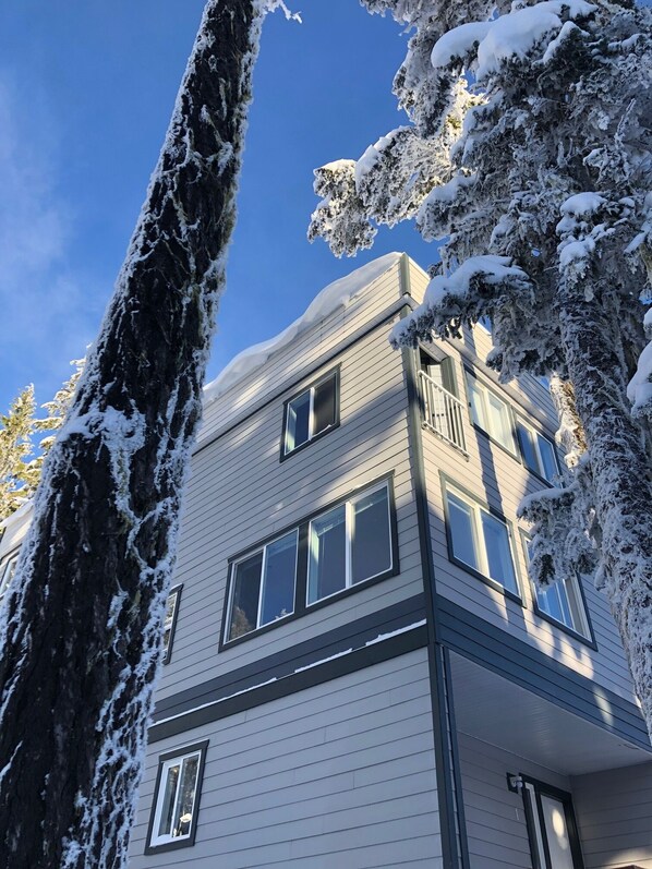 Exteriör