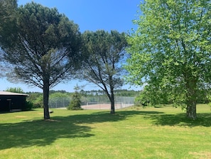 Terrain de sport