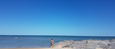 ビーチ