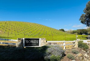 Entrance to the property. Songs is our onsite winery (Rhone and Bordeaux blends)