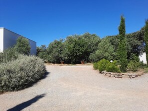 le parking de Silvis et Phoebé