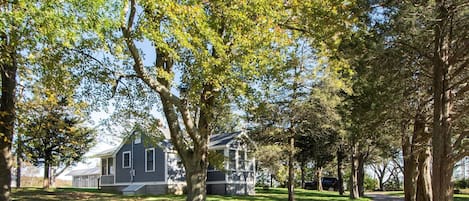 Nestled in a tree filled private "island" surrounded by coastal marshes 