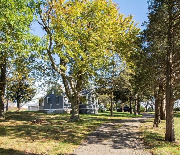 Nestled in a tree filled private "island" surrounded by coastal marshes 