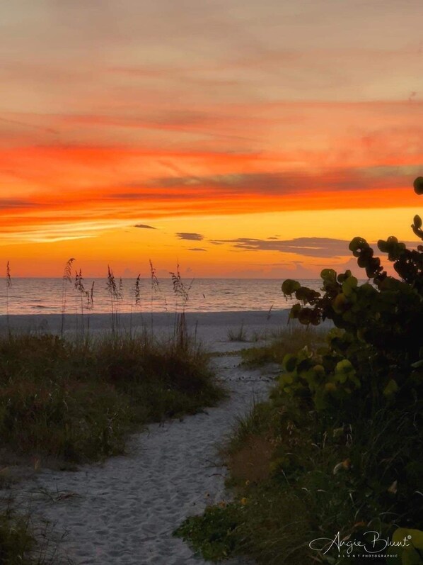 Beach Access