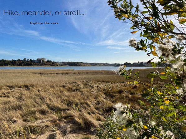 Low tide on the cove - access is just a short walk from the front door