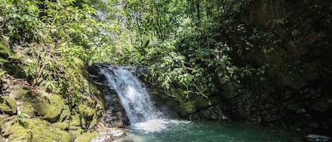 Terrenos do alojamento