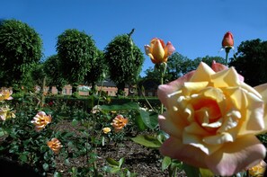 Blick vom Rosengarten 