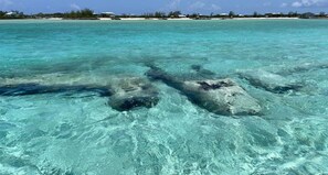 Plane Wreck Site 