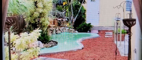 garden and pool