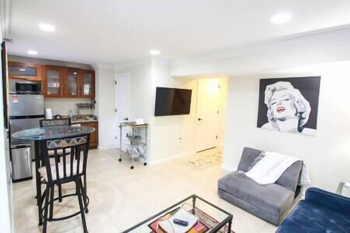 1 BR Spacious Basement Apartment DC20m Dulles 5m