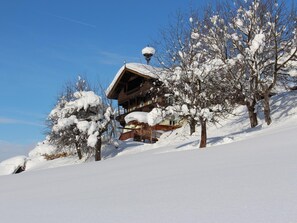 Apartment Mödlinghof