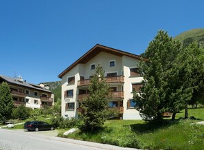 Picture 12