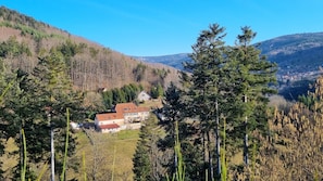 Övrigt
