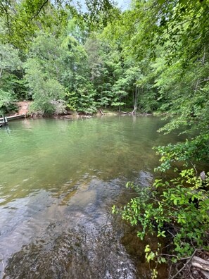 Lake view in summer
