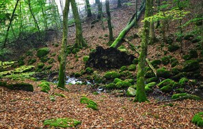 area