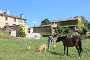 Terrain de l’hébergement 