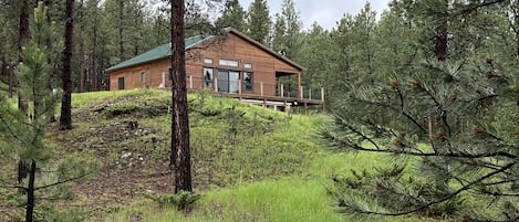 Black Hills Cabin