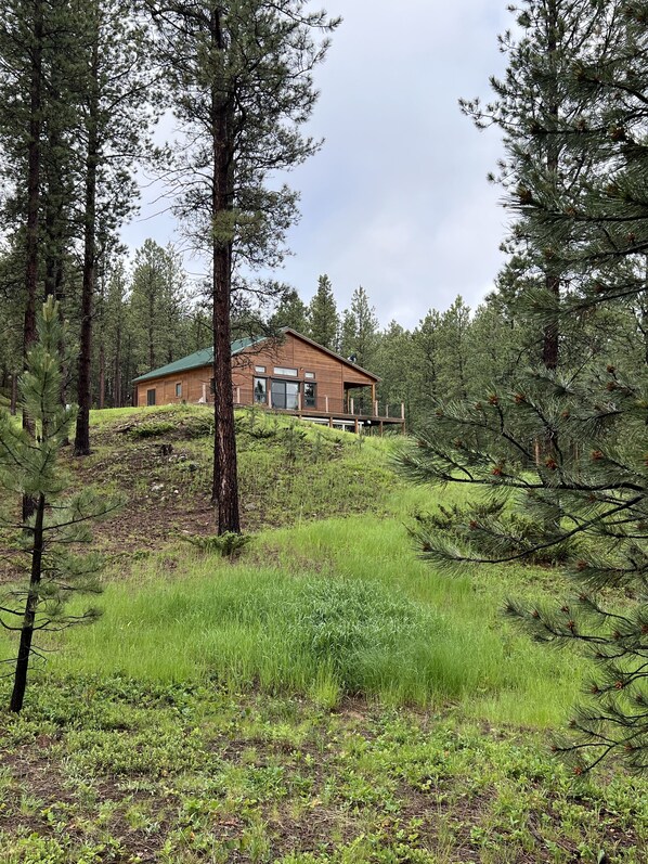 Black Hills Cabin