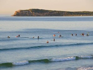 Ocean Grove Main Beach offers family-friendly swimming and surfing