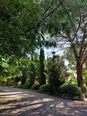 Property grounds