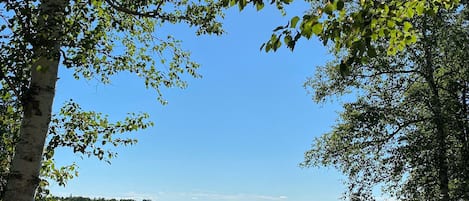 This is your lake view from the Yukon Cottage!