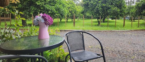 Outdoor seating with view of orange tree orchard