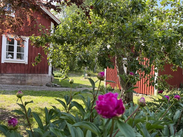 Detalj exteriör