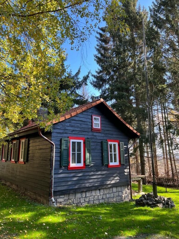 Exteriör