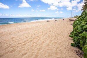 Welcome to the beach just behind Banzai Surf Escape. Relax here!